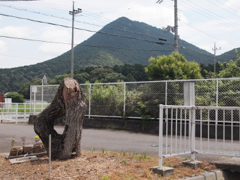 写真拡大