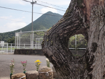 写真拡大