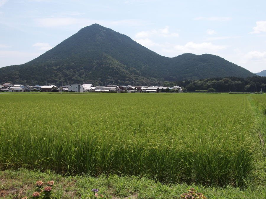 写真拡大