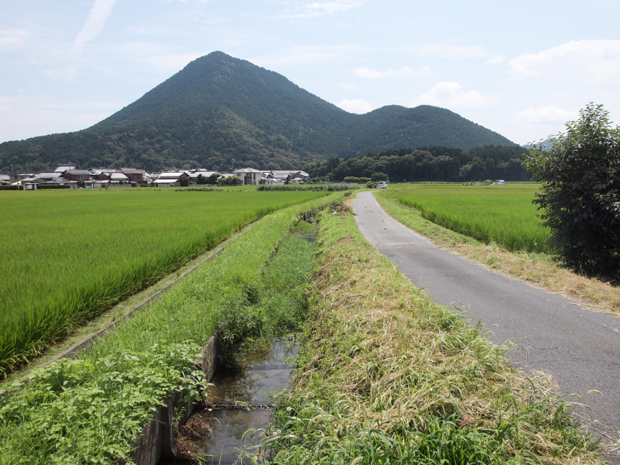 写真拡大