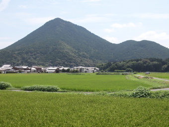 写真拡大