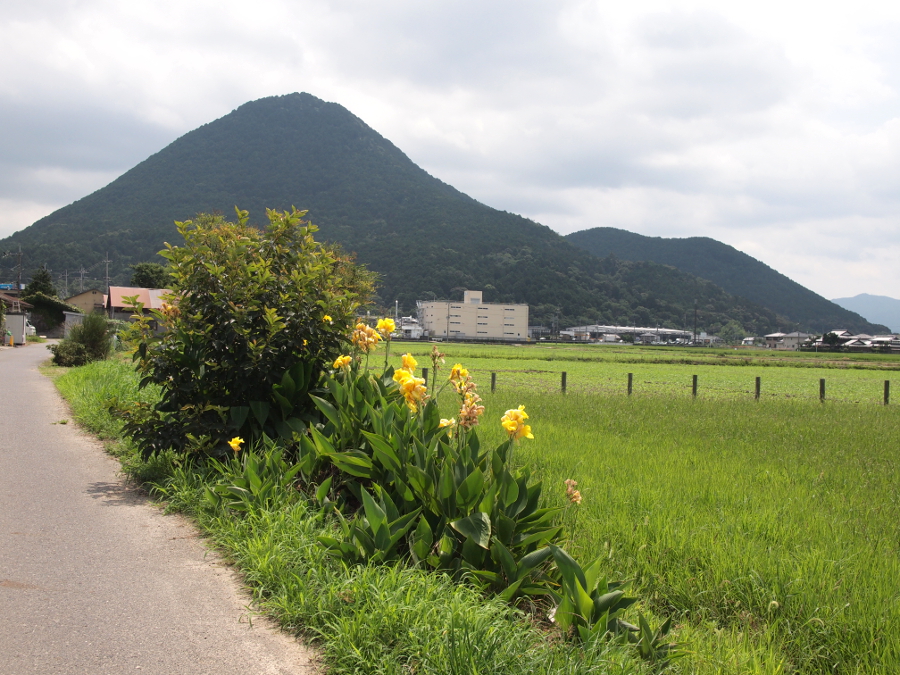写真拡大