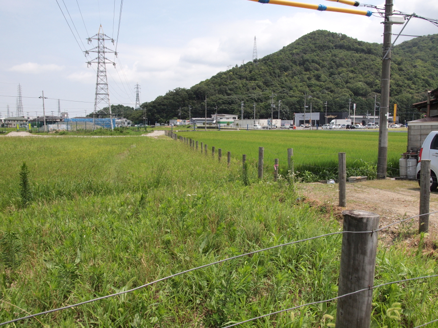写真拡大