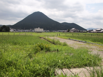 写真拡大