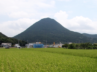 写真拡大
