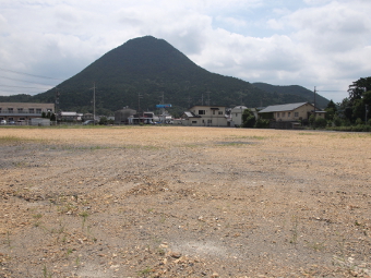 写真拡大
