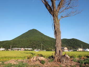 写真拡大