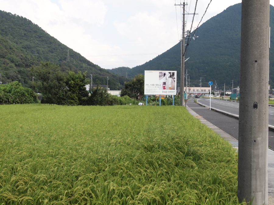 写真拡大