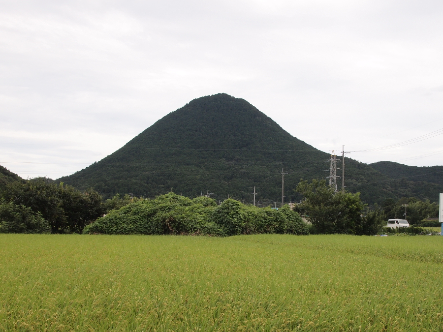 写真拡大