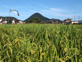 写真拡大