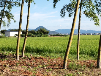 写真拡大