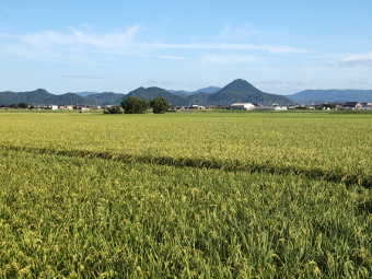 写真拡大