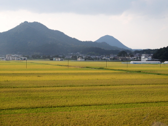 写真拡大