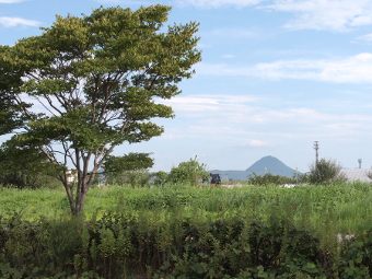 写真拡大