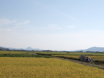 写真拡大