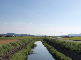 写真拡大