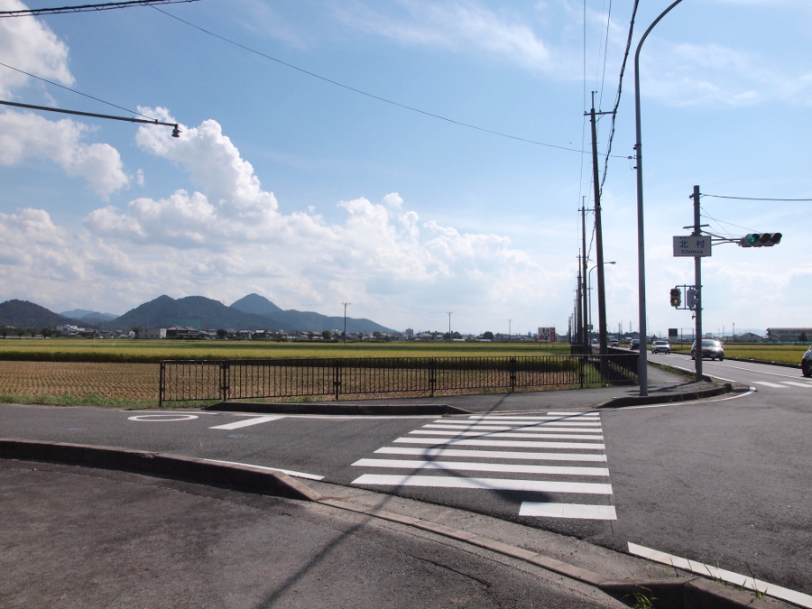 写真拡大