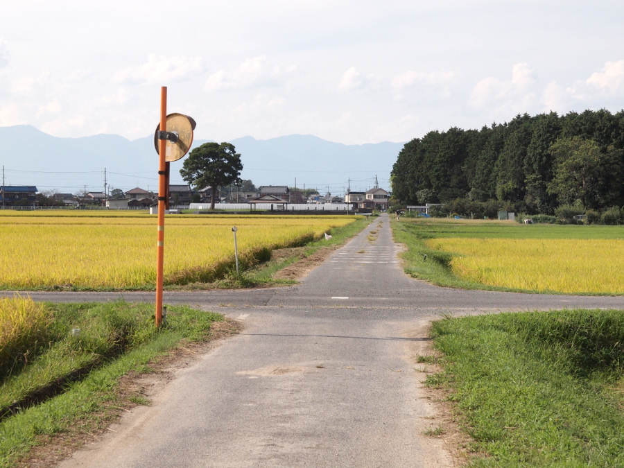 写真拡大