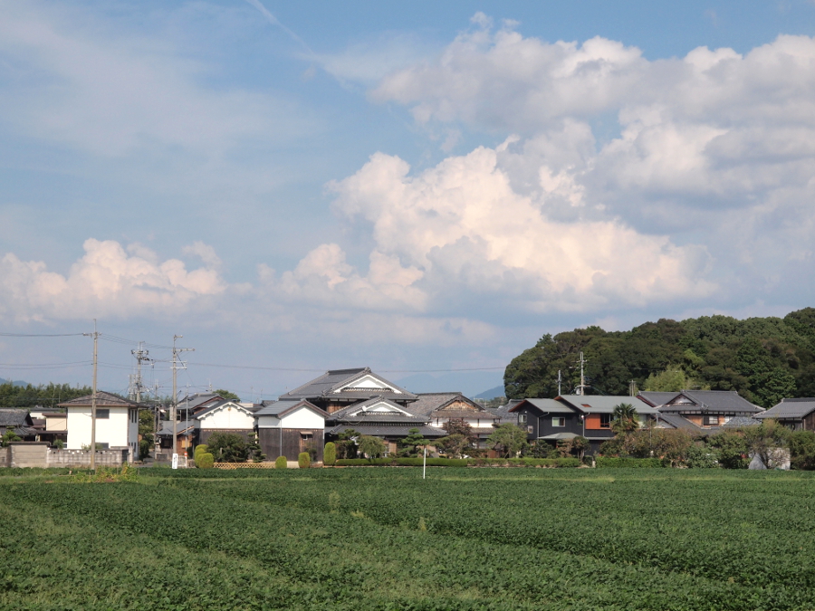 写真拡大