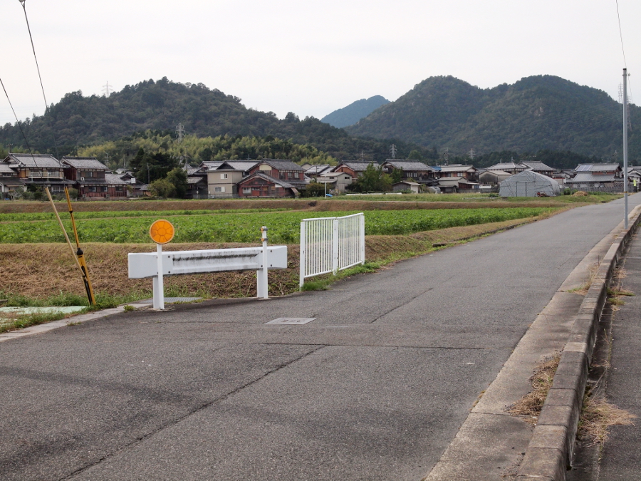 写真拡大