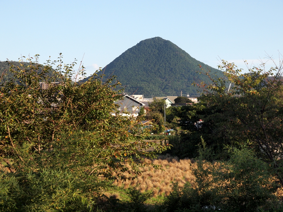 写真拡大