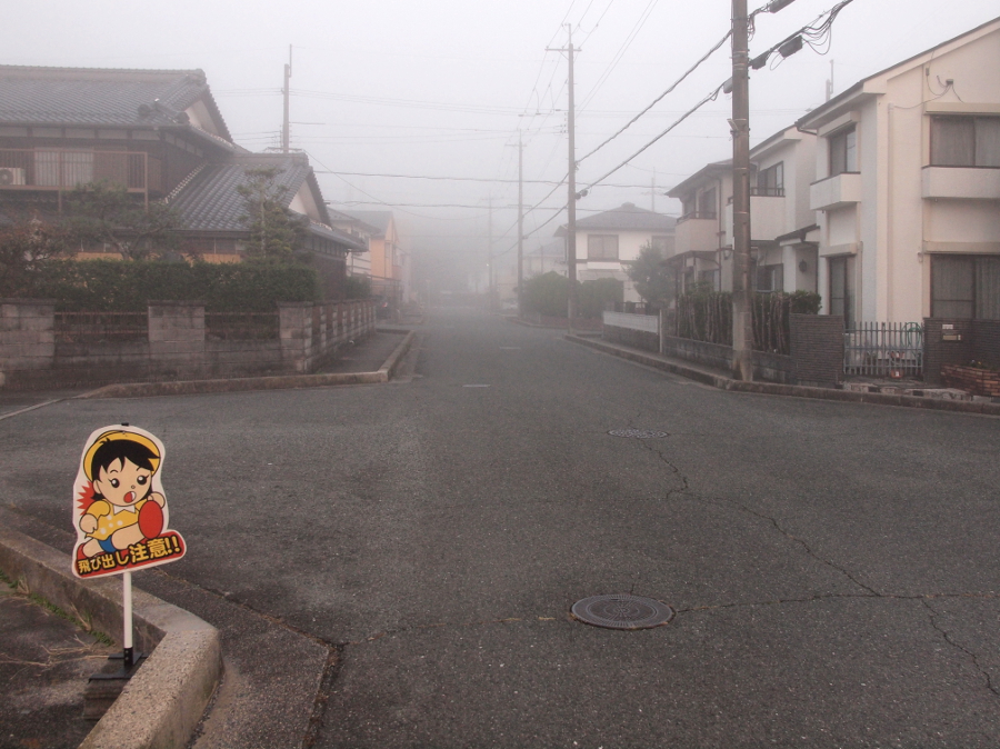 写真拡大
