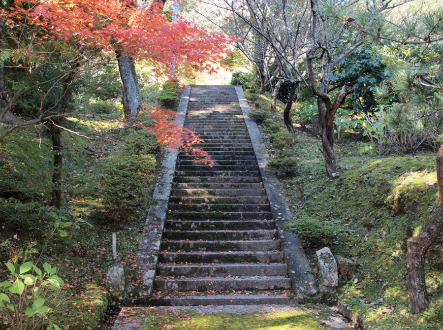 写真拡大