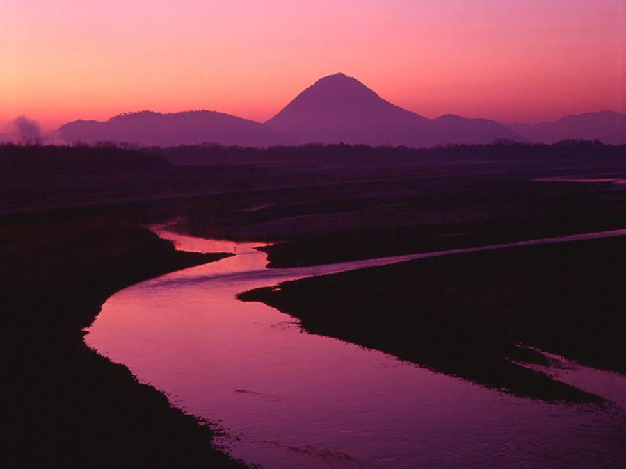 写真拡大