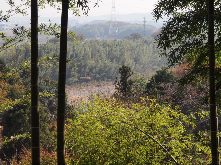 写真拡大