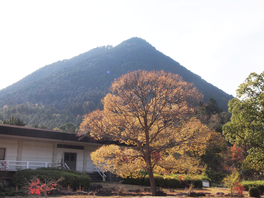 写真拡大