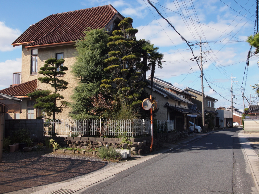 写真拡大
