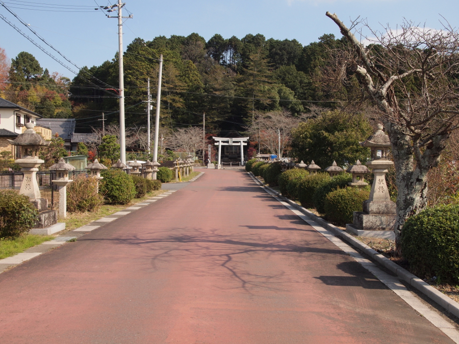 写真拡大