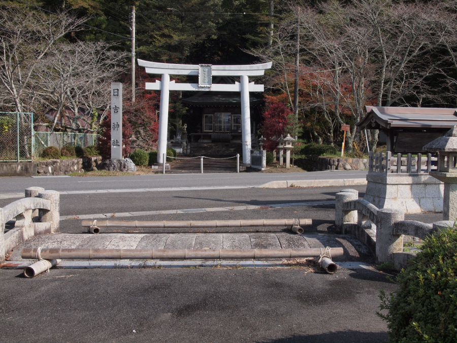 写真拡大