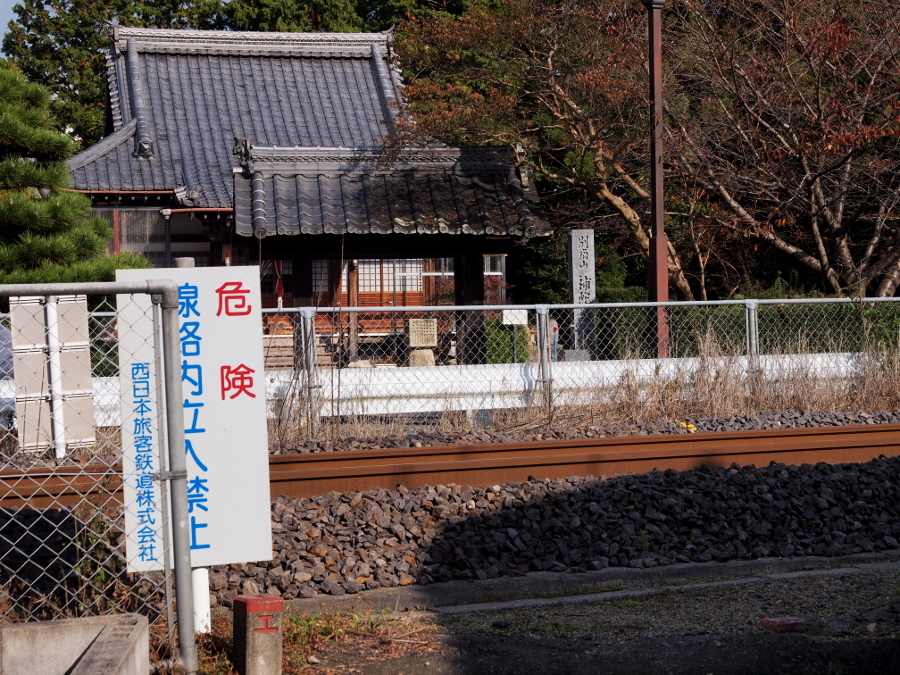 写真拡大