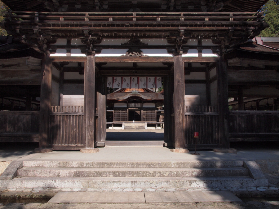 写真拡大