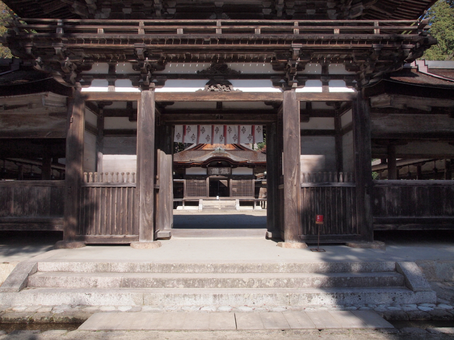 写真拡大