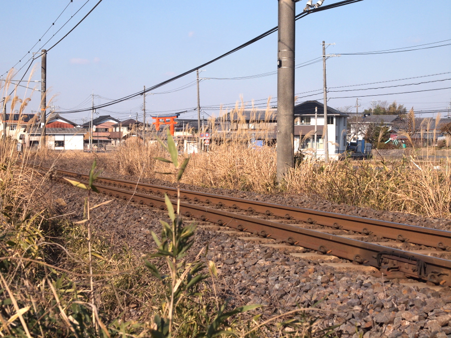 写真拡大