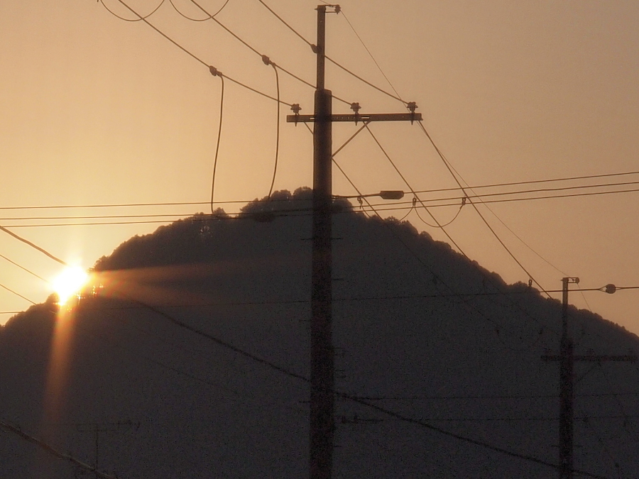 写真拡大