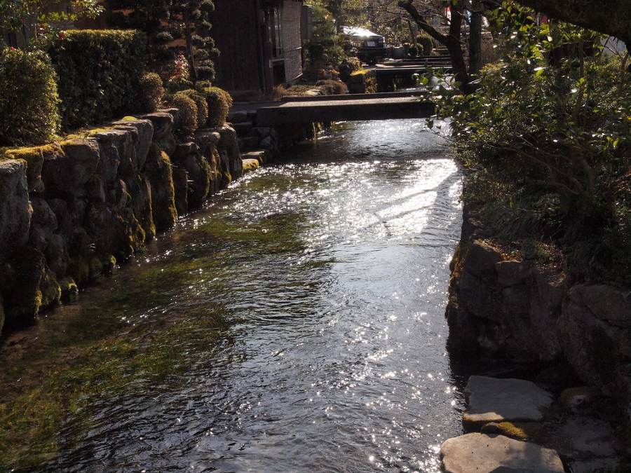 写真拡大