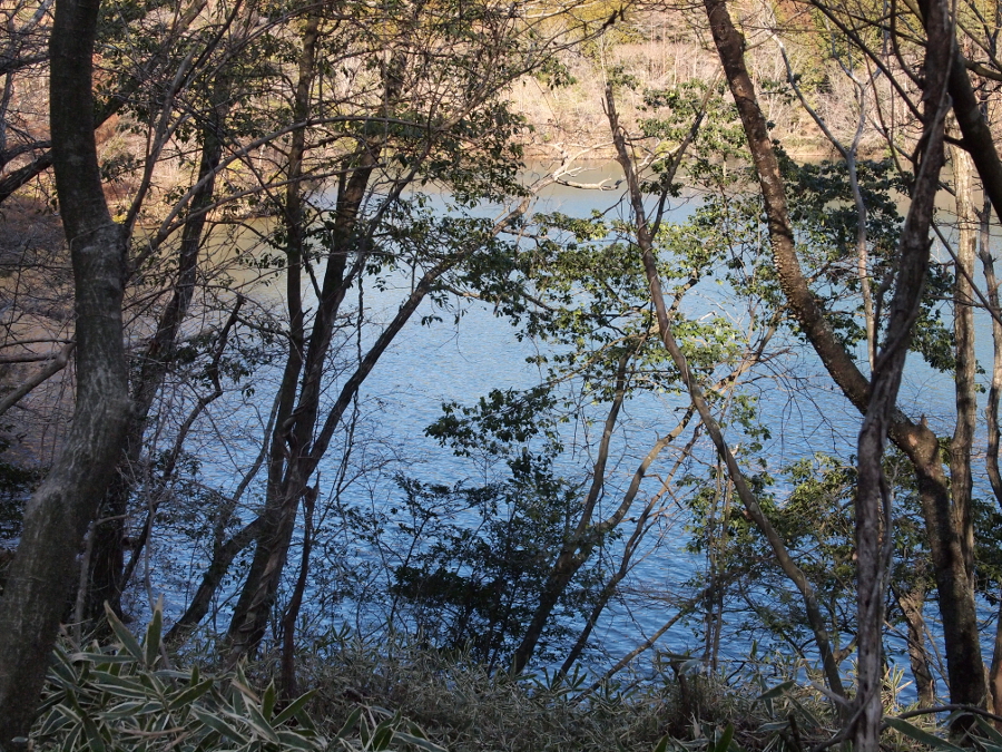 写真拡大
