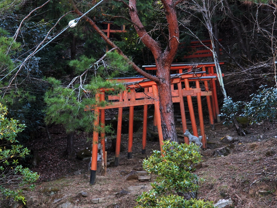 写真拡大