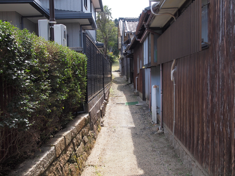 写真拡大