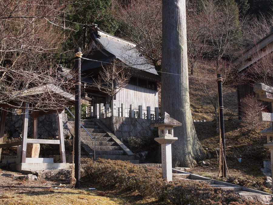写真拡大