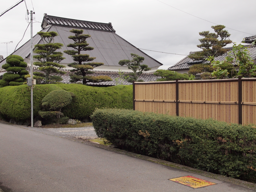 写真拡大