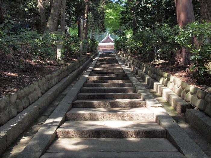 写真拡大