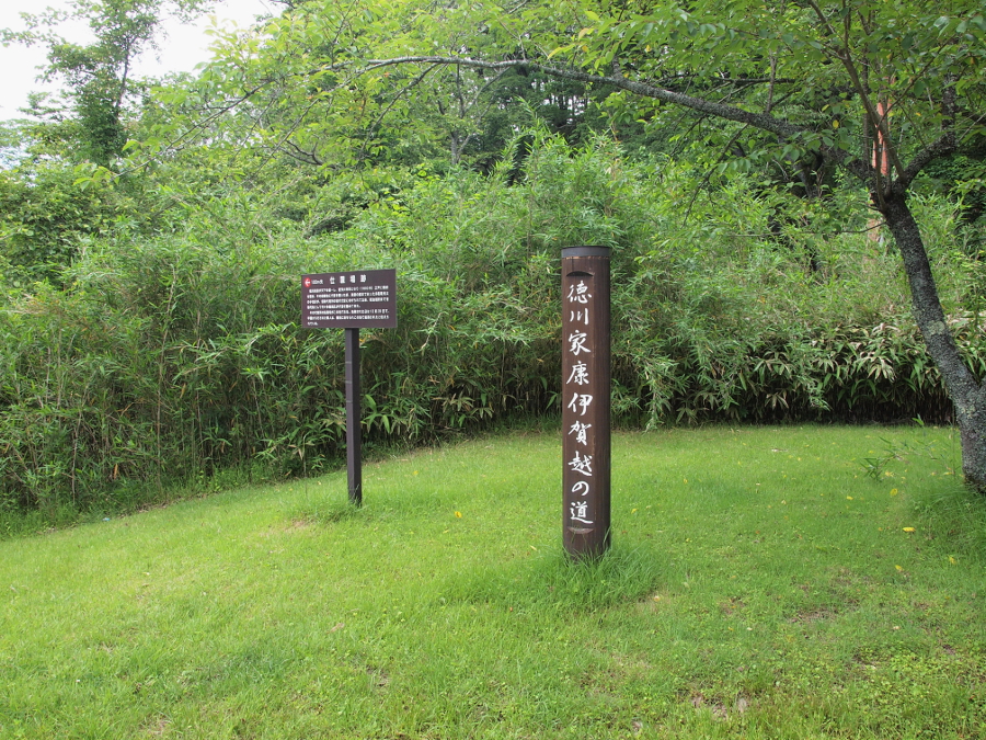 写真拡大