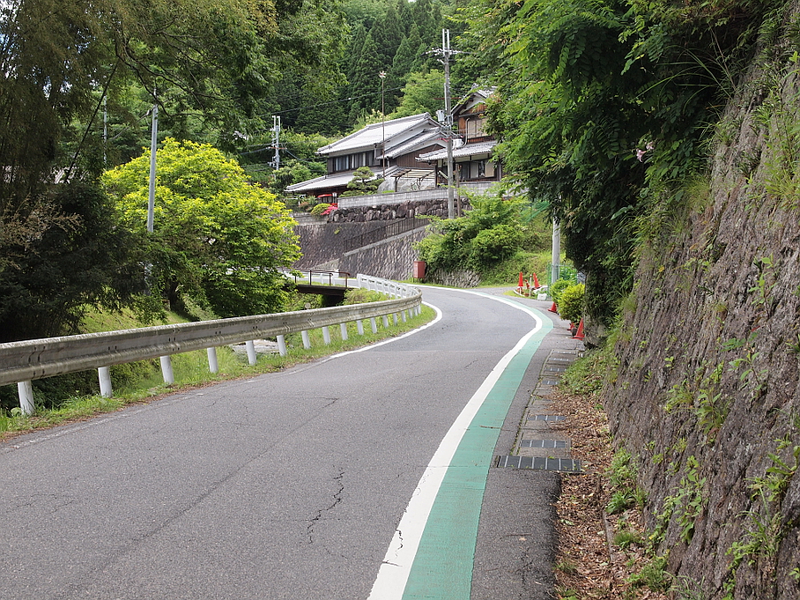 写真拡大