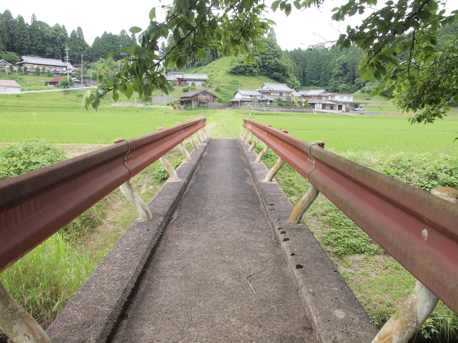 写真拡大