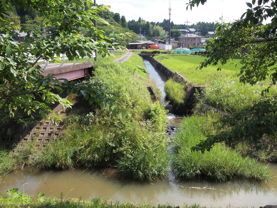 写真拡大