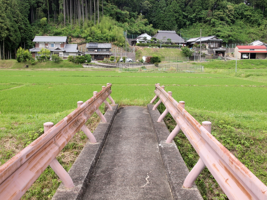 写真拡大